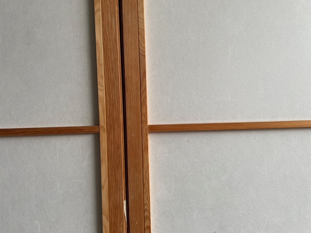 Lagershoji  Set 84,0 B x 260,5 , Trennwand