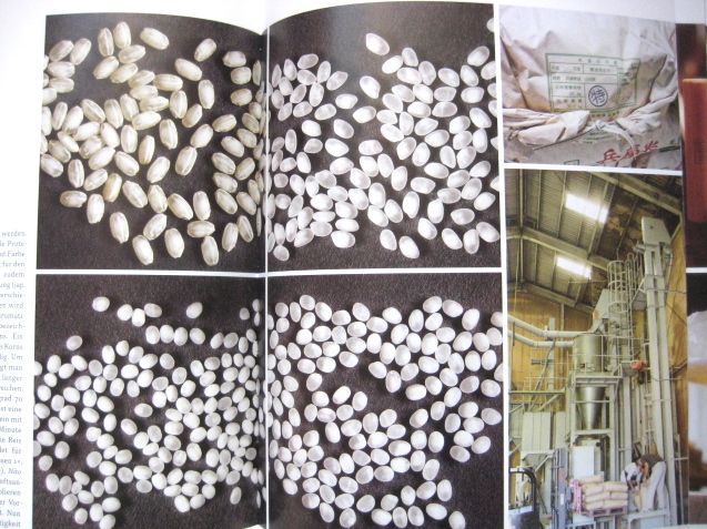 Sake Buch (Yoshiko Ueno-Müller)